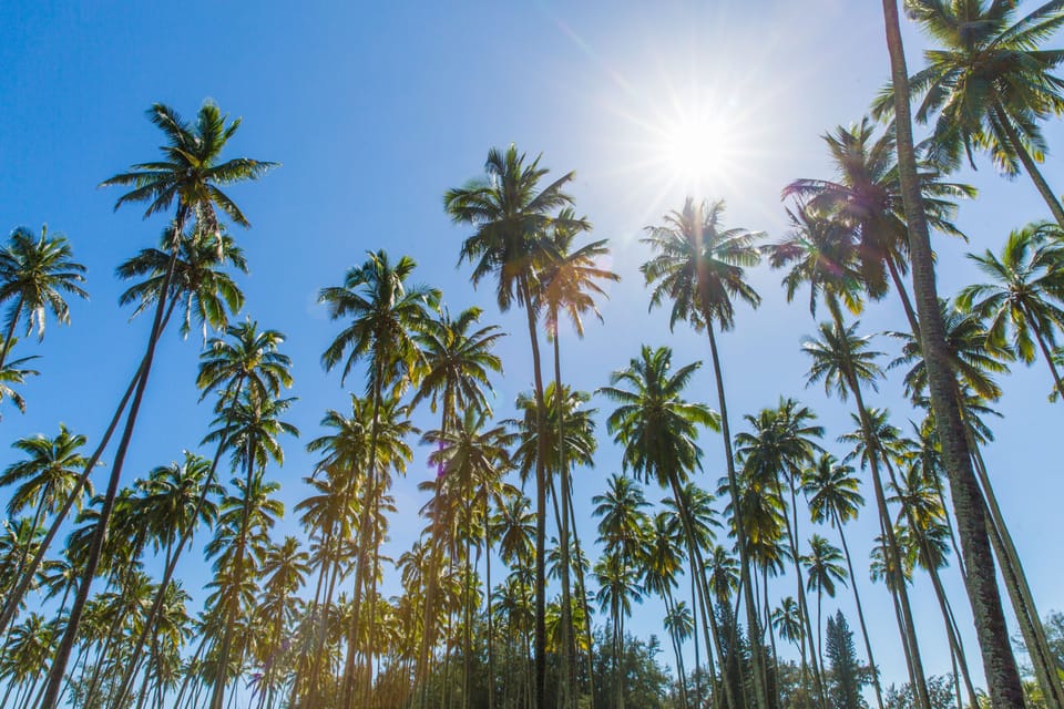 Kapaa is known as the Coconut Coast