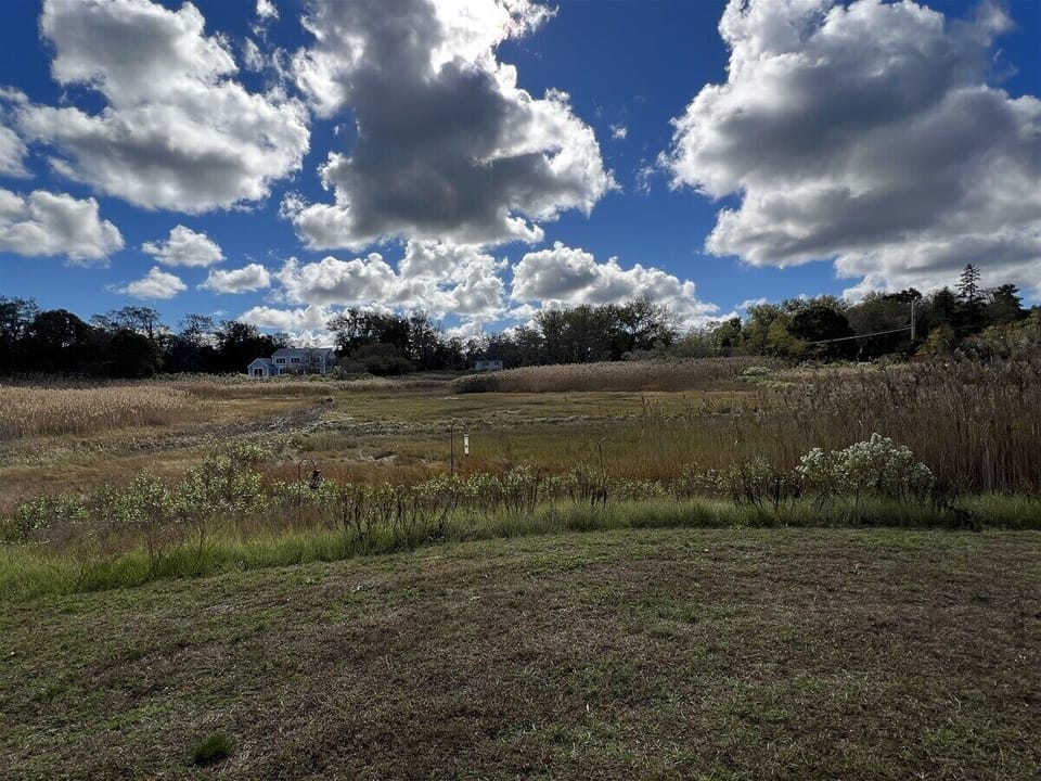Views of the Tidal Creek