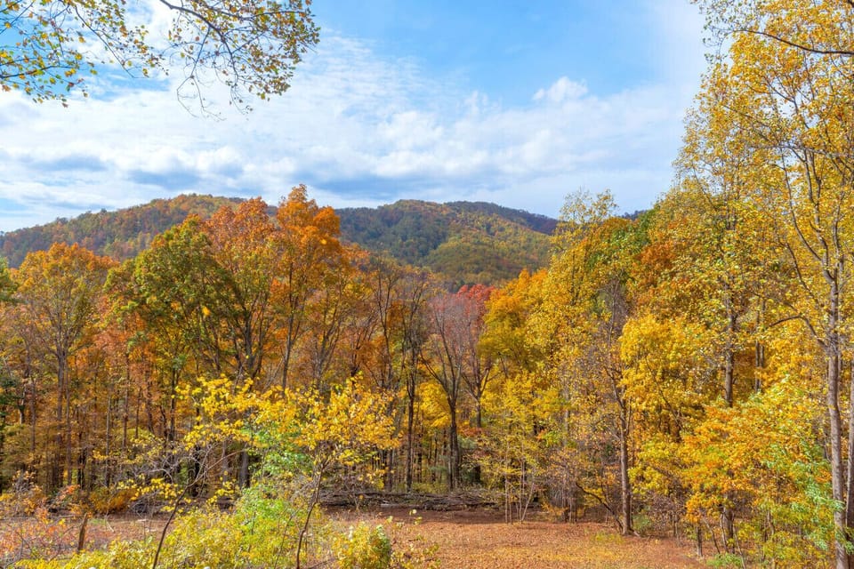 Every bedroom has some version of mountain views