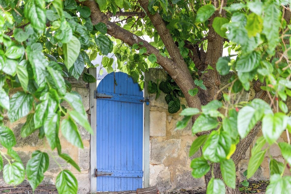 Back Gate
