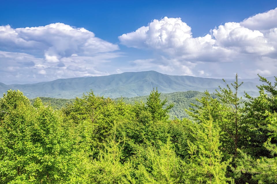 Pigeon Forge Cabin with a View "Bear's View" - Beautiful mountain views