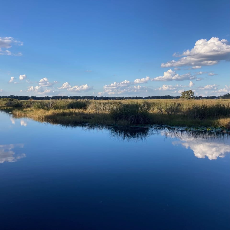 Lake view from the dock