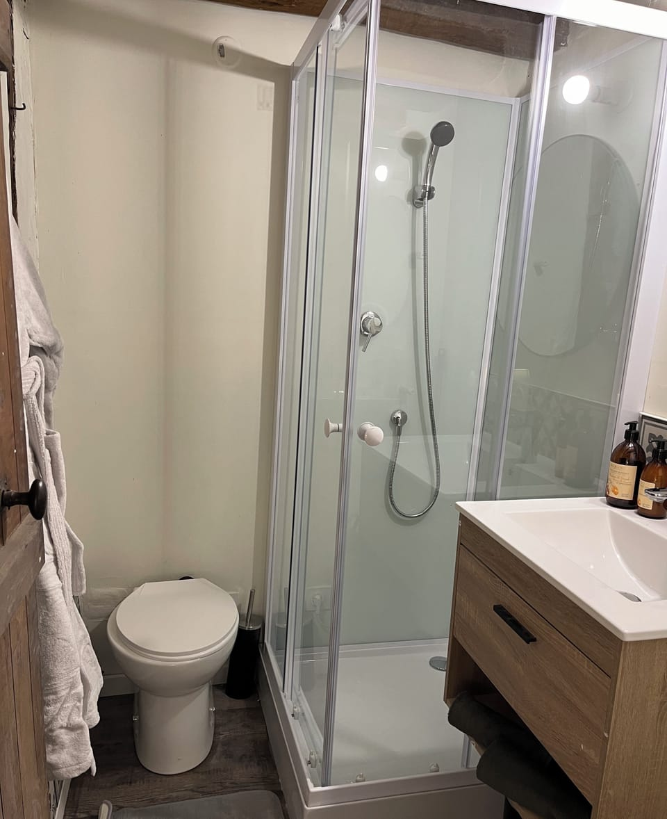 Traditional Apartment | Bathroom | Shower, rainfall showerhead, hair dryer, bathrobes