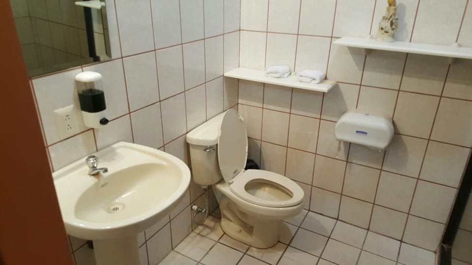 Standard Double Room, 1 Bedroom | Bathroom | Shower, free toiletries, hair dryer, towels