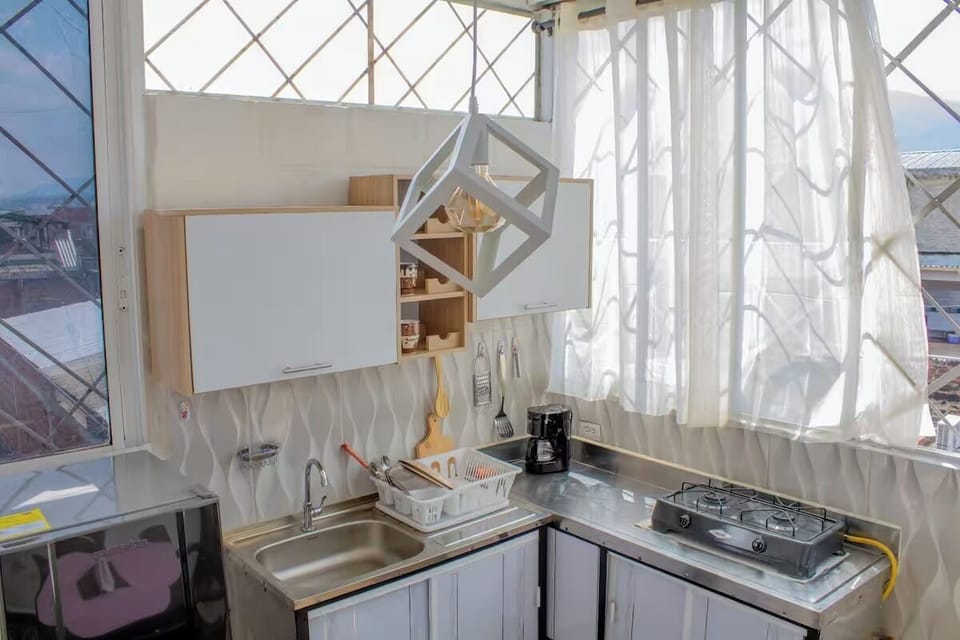 Executive Apartment, 1 Double Bed with Sofa bed, Air conditioning, City View | Private kitchen | Fridge, dishwasher, rice cooker, blender