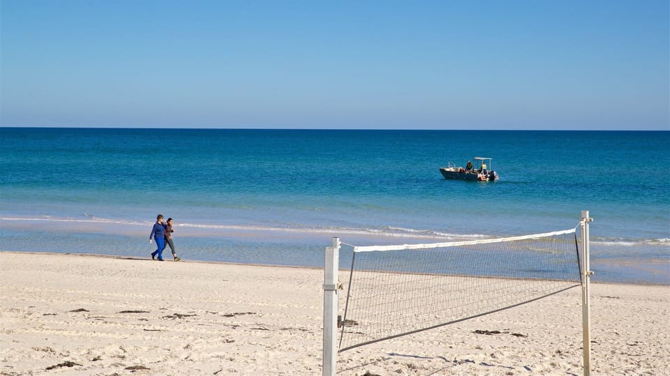 Beautiful Henley Beach just across the road!