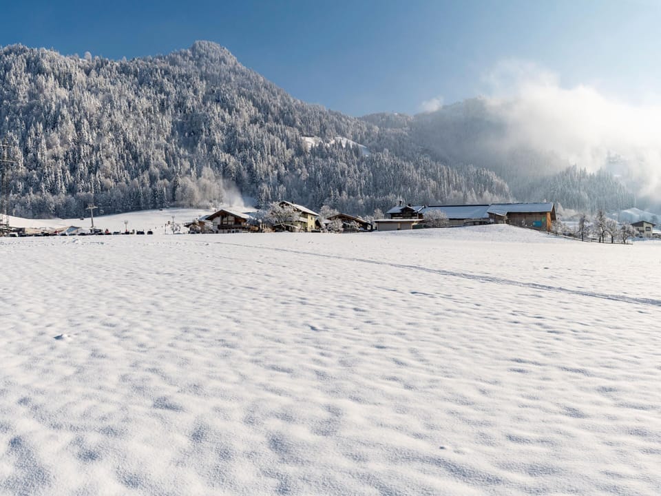 View from Holiday Home [winter]