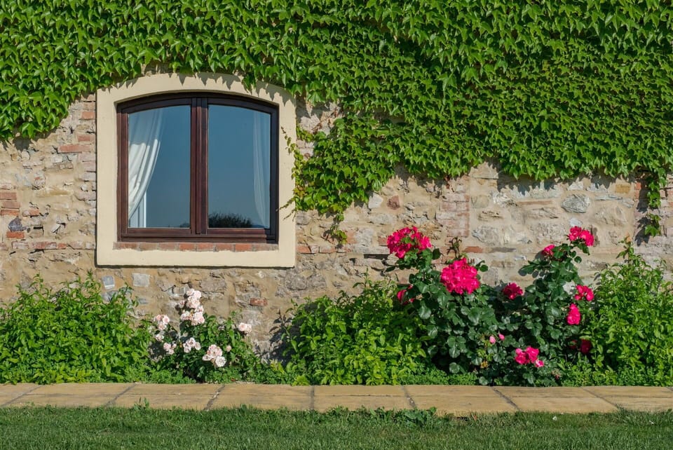 Outdoor, Room Detail