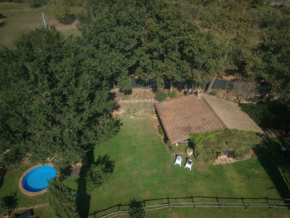 Autumn, Garden, Pool, Spring, Summer