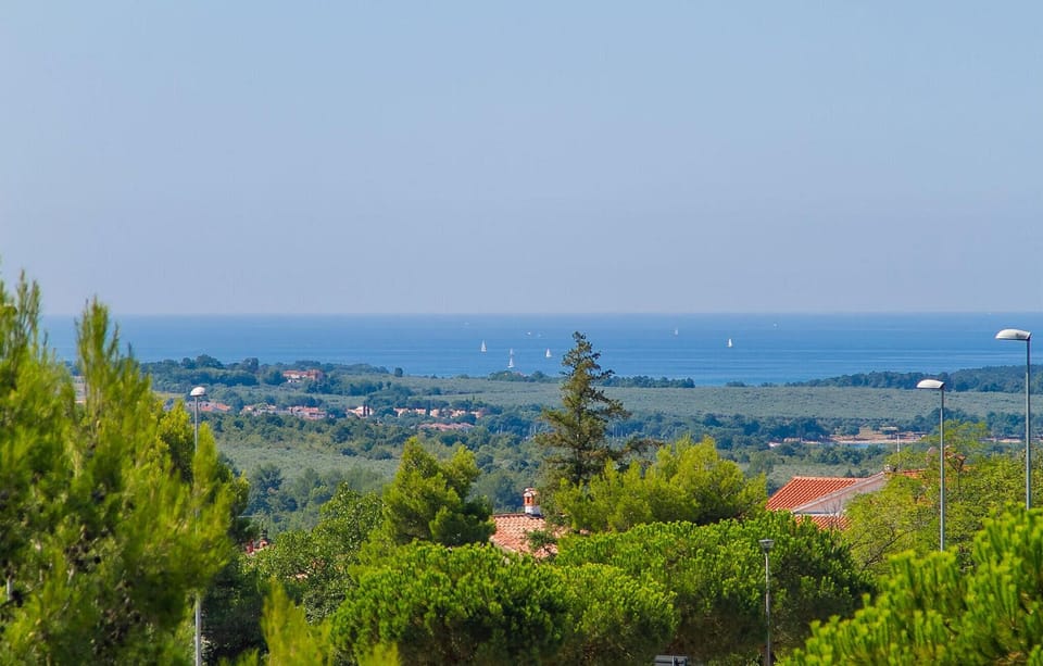 view-from-room