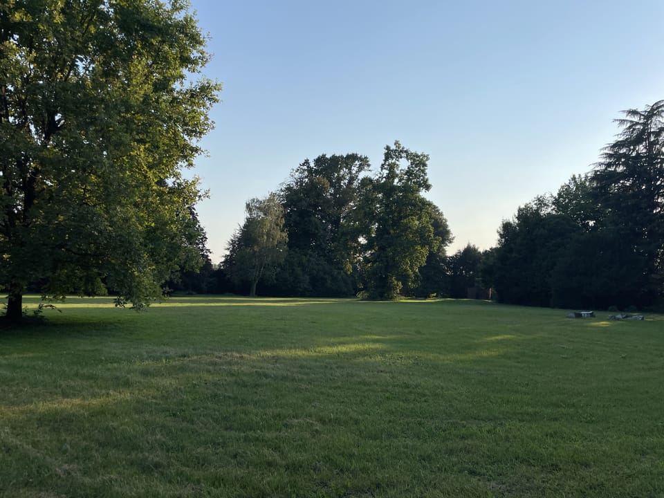 View of the 3.5 acre park surrounding the Villa, full of secular trees.