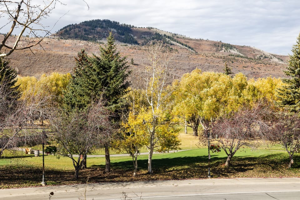 - Scenic balcony views with trees and mountain backdrop  
- Watch the seasons change from the comfort of your stay  
- Relax with peaceful surroundings and fresh mountain air
