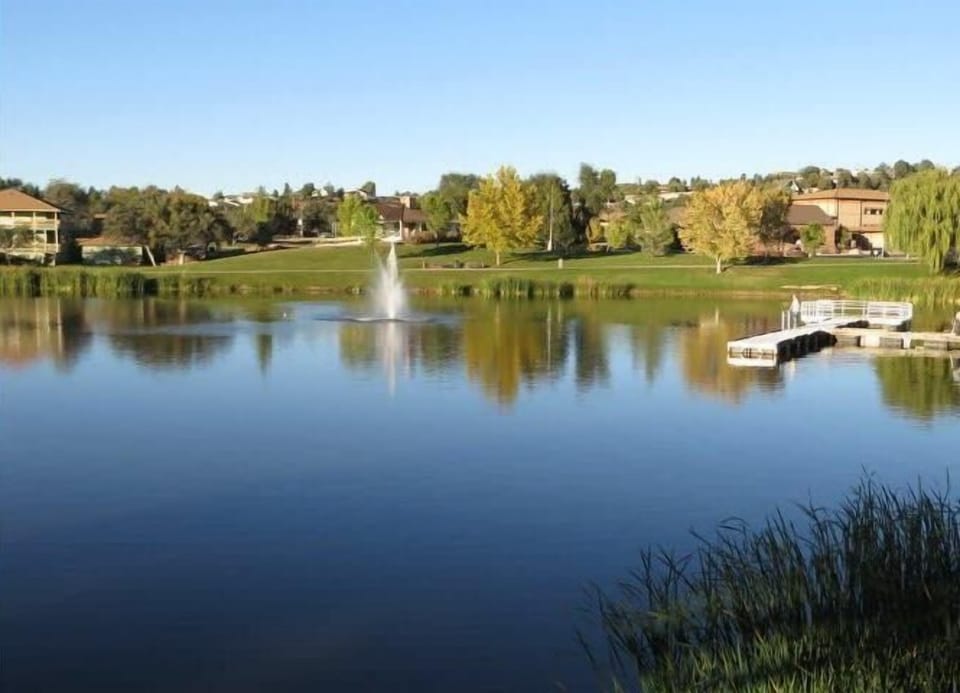 Pick up Your Fishing License at Walmart or Big 5 for the local park Lakes and Natural Lakes in the area