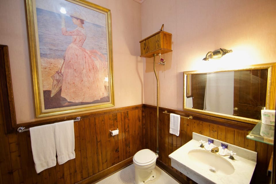 Combined shower/tub, free toiletries, towels