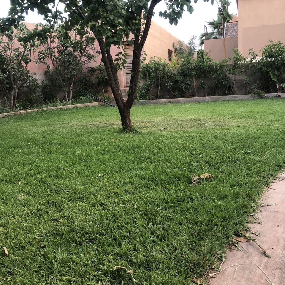 Property grounds