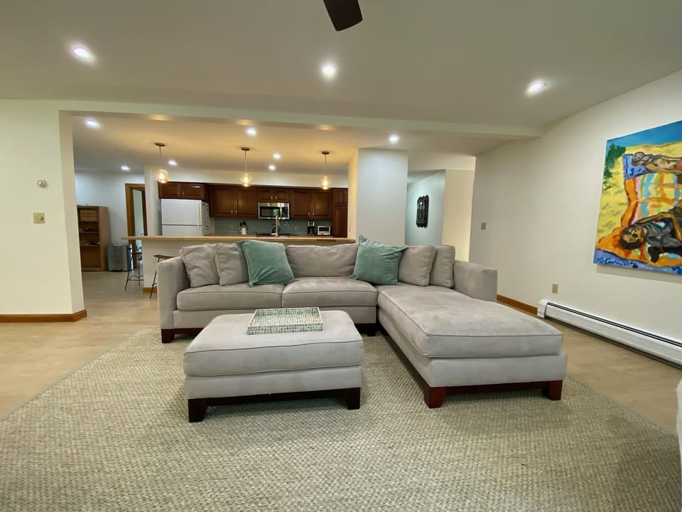 Living Room with Open Kitchen