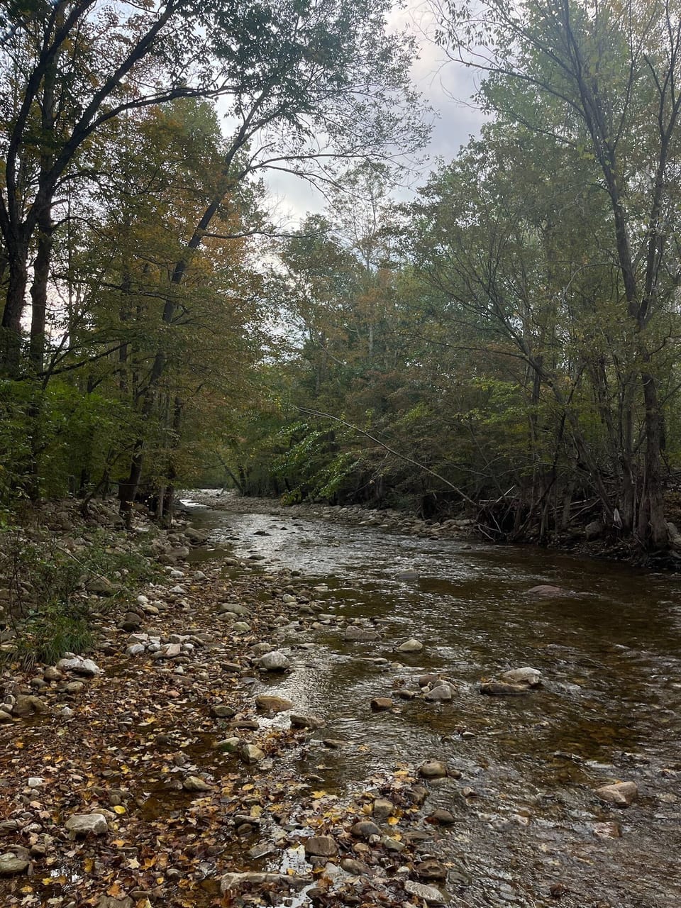 Our backyard slopes to a scenic creek, perfect for family adventures.