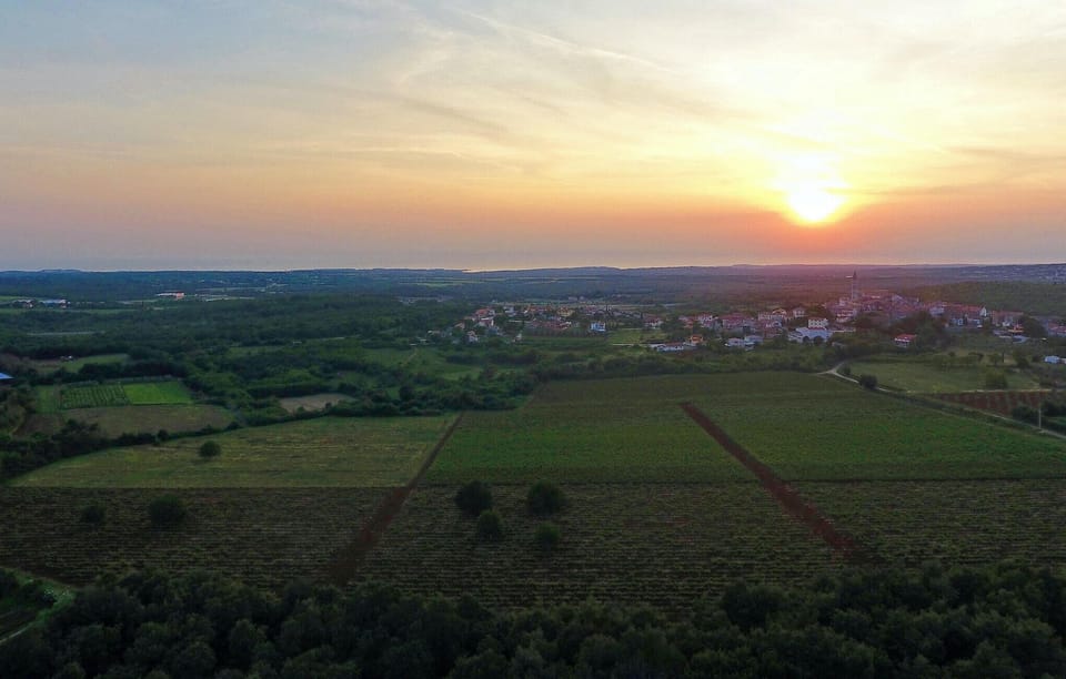 area