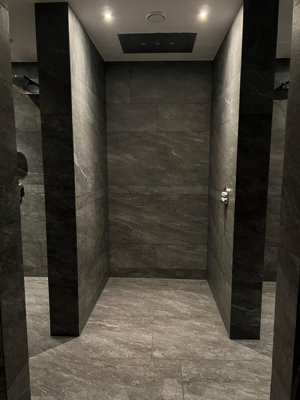 Sauna, steam room