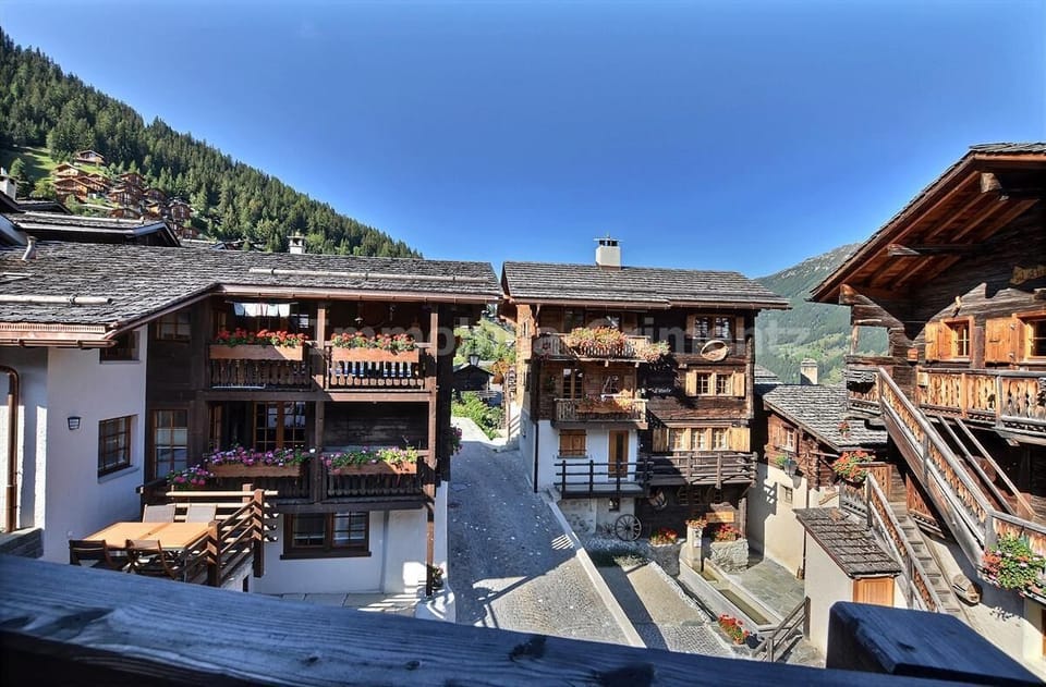 Village view