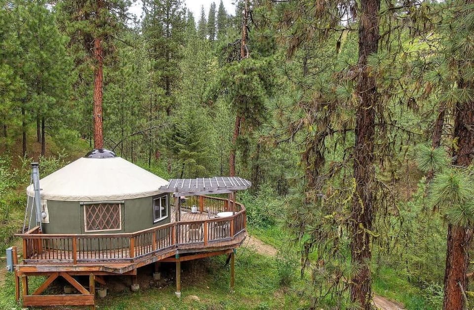 The yurt is surrounded with trees yet has great views of the mountains.