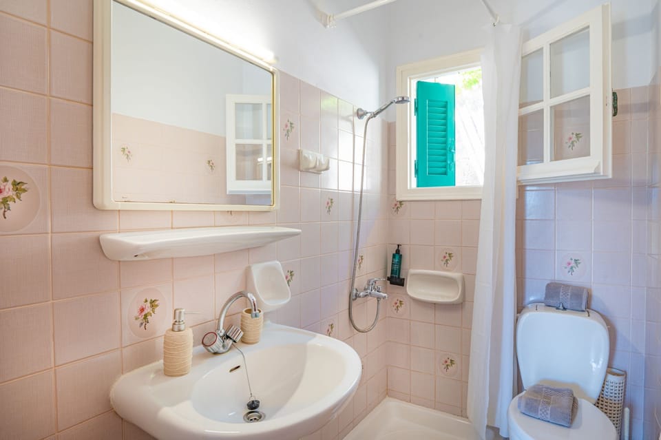 Shower and WC