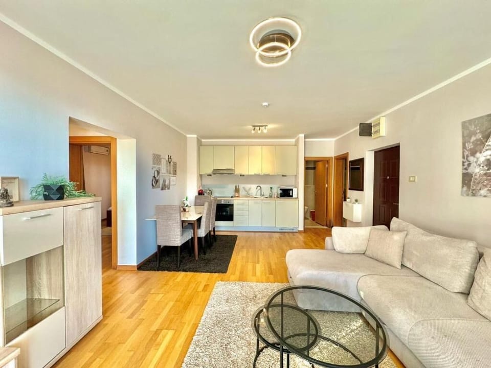 Premium Apartment | Living area | 32-inch LCD TV with cable channels