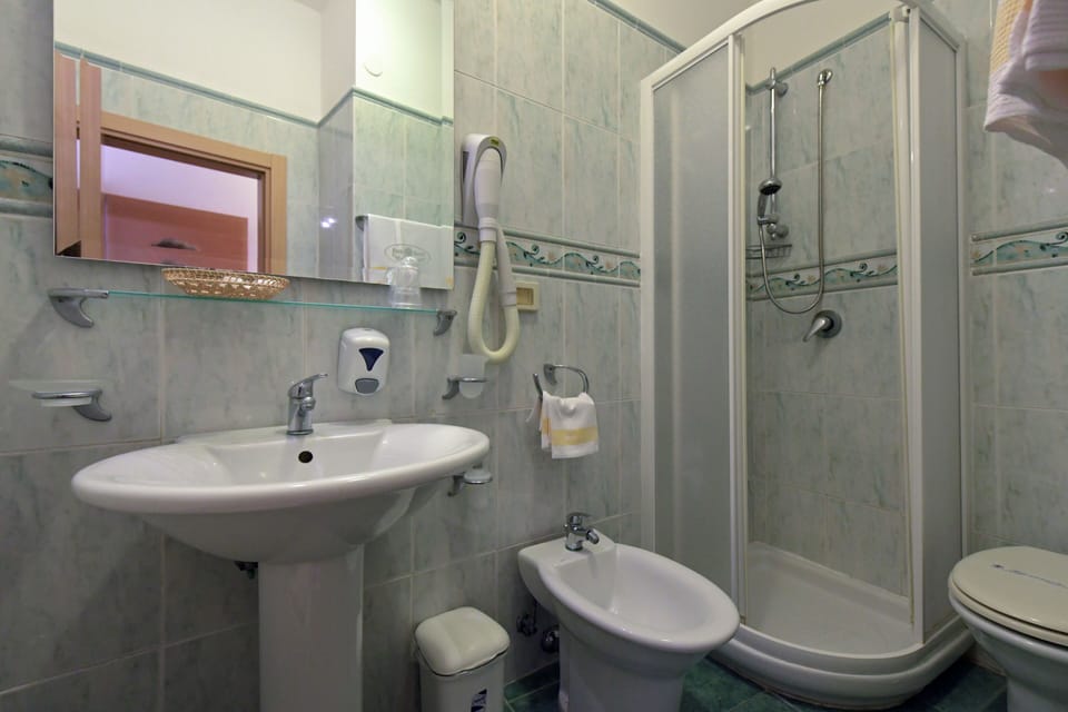 Shower, free toiletries, hair dryer, bidet
