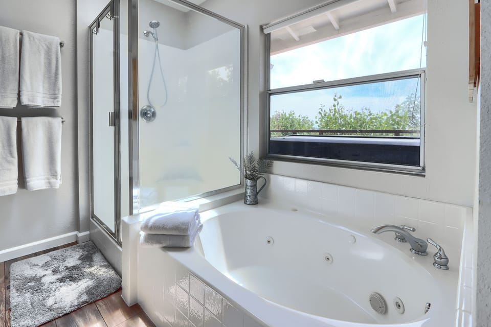 Master bathroom - jetted tub and standing shower with Sky Light