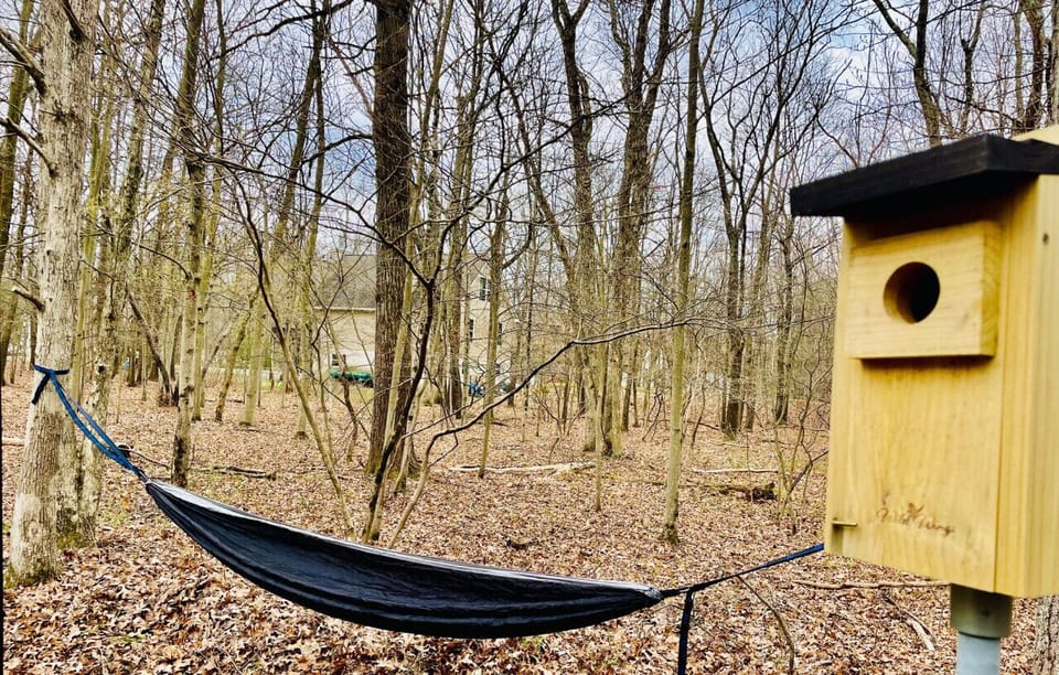 2 Hammocks