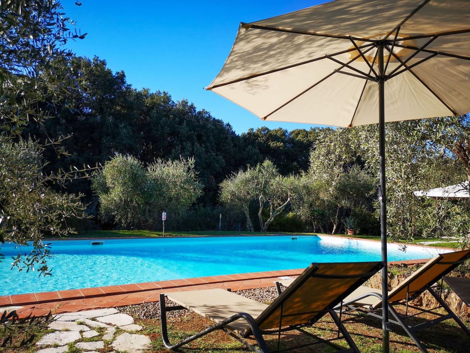 Water, Plant, Property, Furniture, Umbrella, Sky, Light, Swimming Pool, Nature, Building