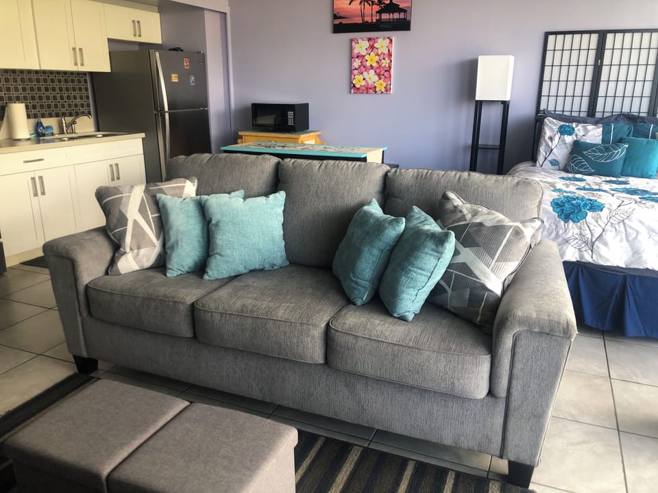 Newer plush sofa.