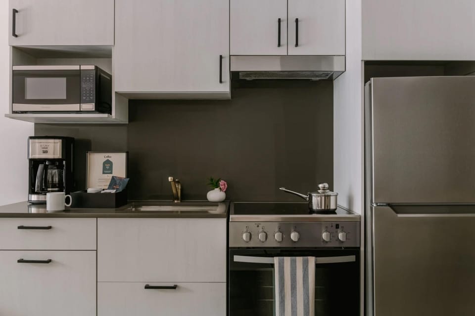 Full-size fridge, microwave, oven, stovetop
