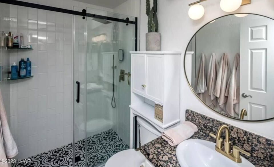 Walk in shower, toilet, vanity