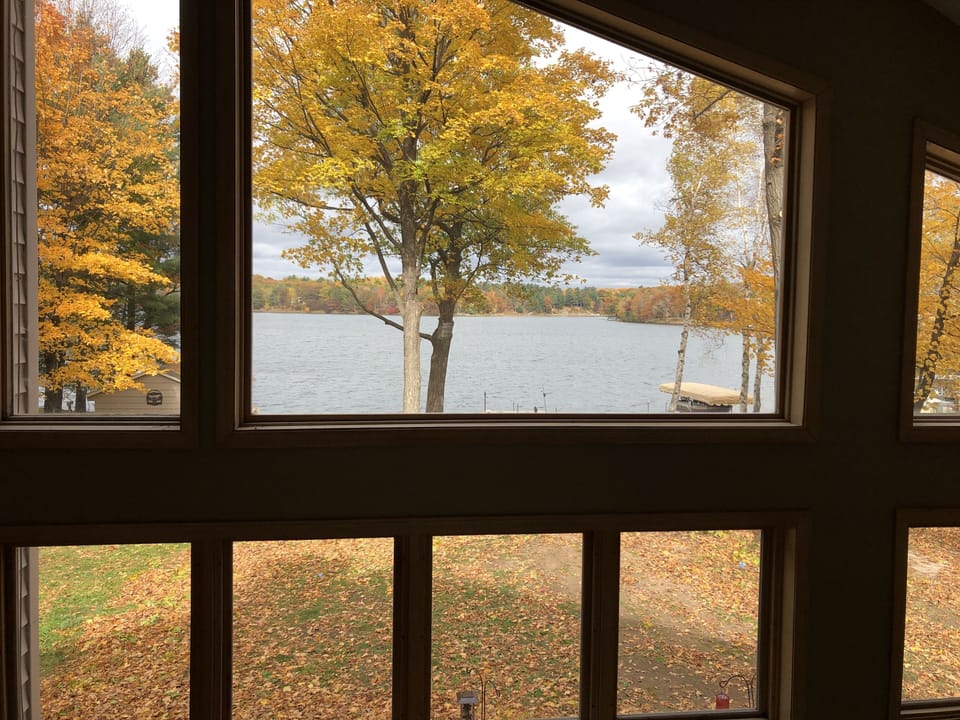 Fall view from loft