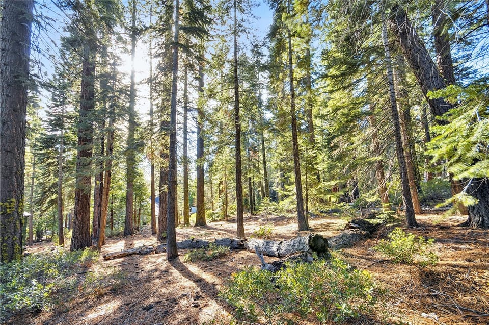 open area