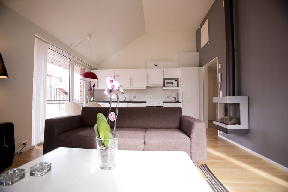 Comfort Apartment | Living area | 42-inch flat-screen TV with digital channels