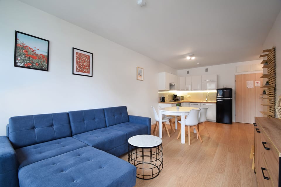 Comfort Apartment | Living area | 37-inch flat-screen TV with digital channels