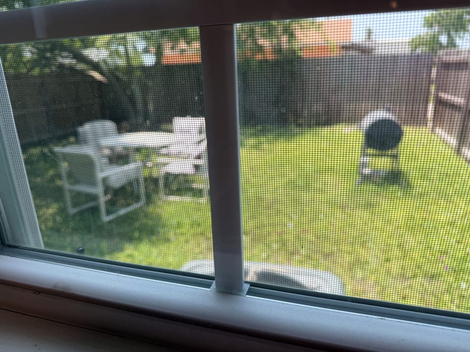 View from kitchen window to backyard.