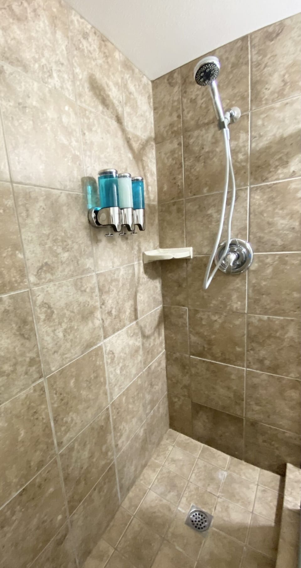 Primary Shower
