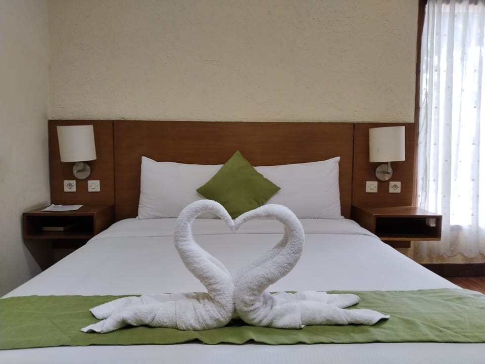 Superior Room | Desk, free WiFi
