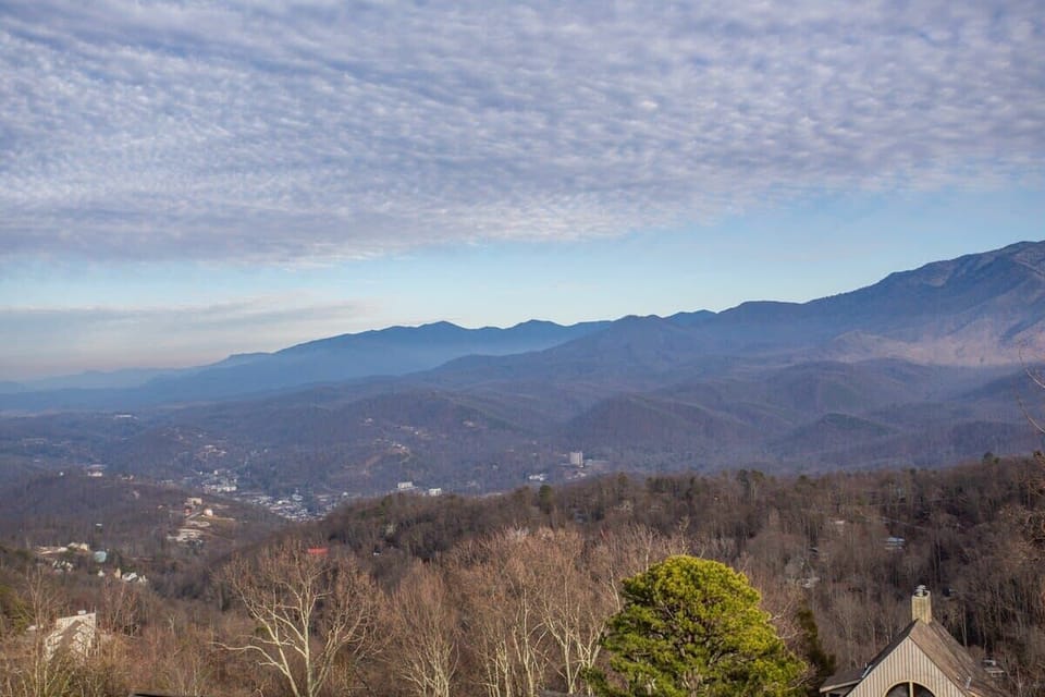 Views! Views! Views!