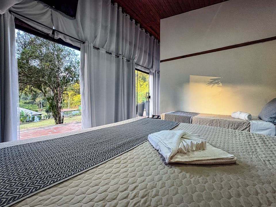 Classic Room | Premium bedding, Select Comfort beds, blackout drapes, bed sheets