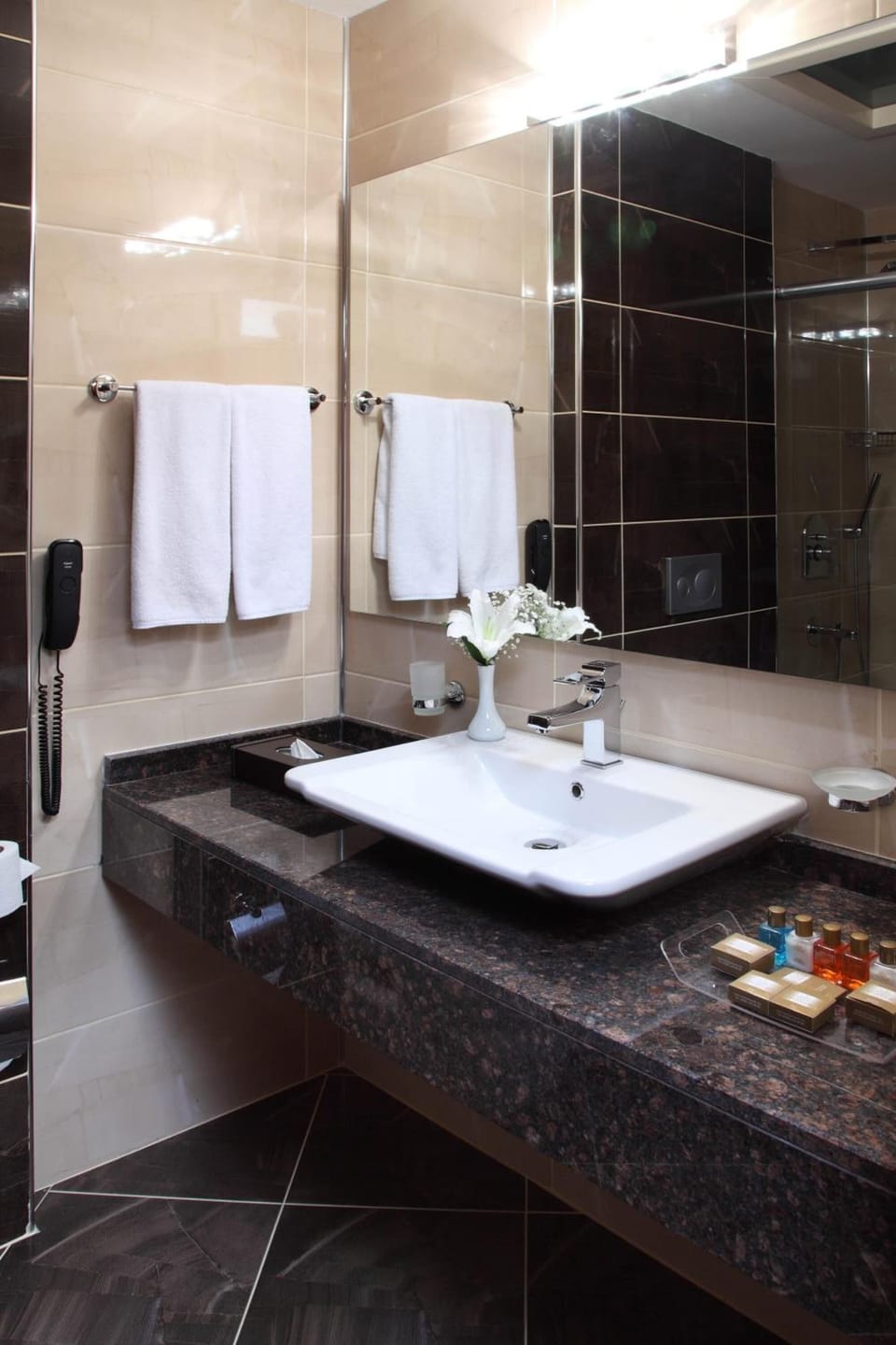 Combined shower/tub, free toiletries, hair dryer, bathrobes