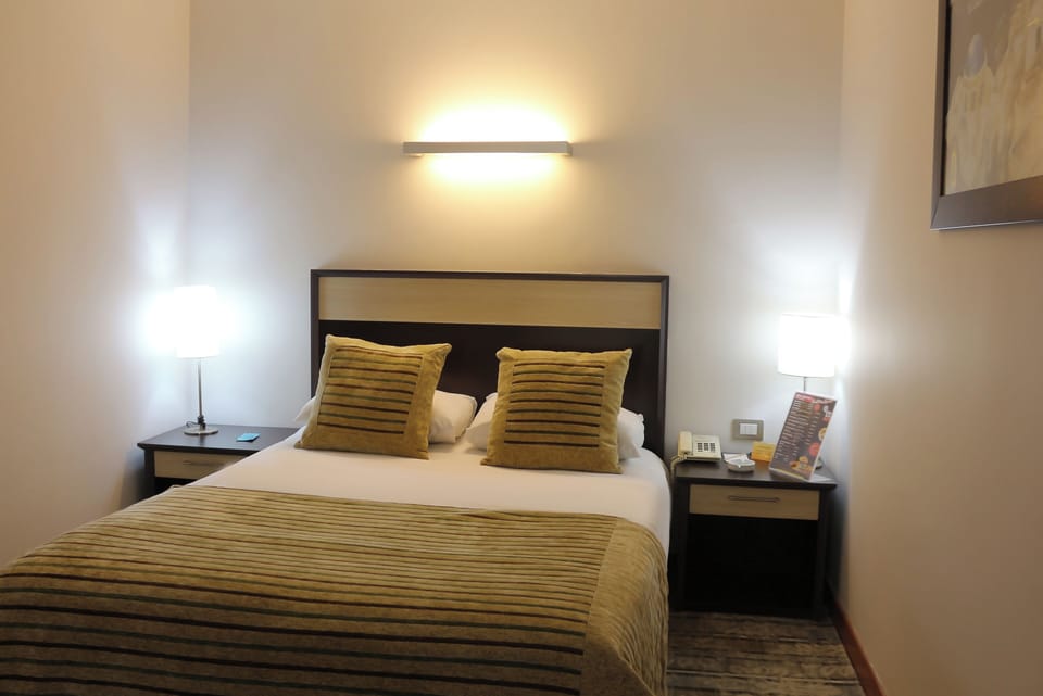 Standard Double Room, 1 Double Bed, City View | Premium bedding, minibar, in-room safe, desk
