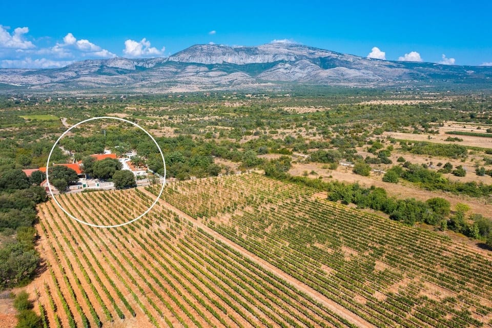 Marked position of the Tosic Estate - Villa