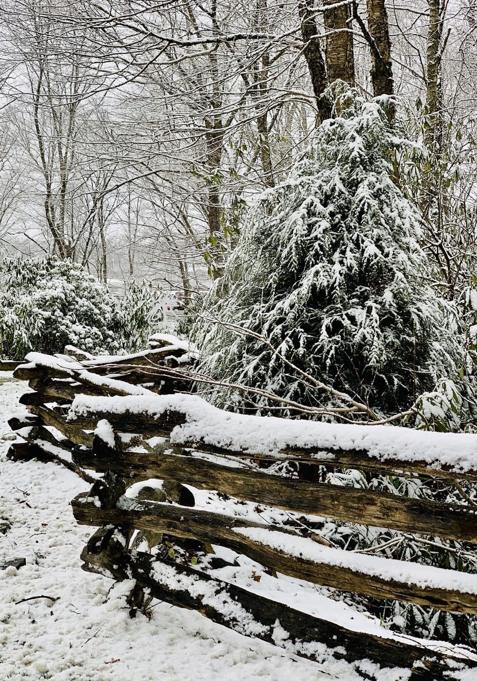 Wintery white days on the slopes