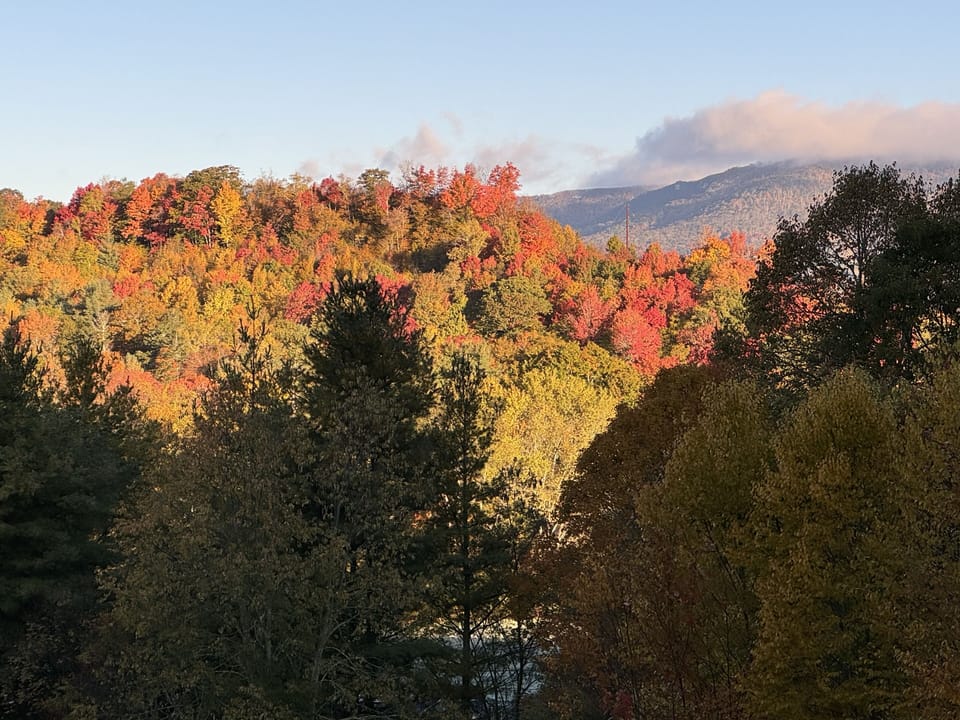 Fall foliage on Sugar Mountain