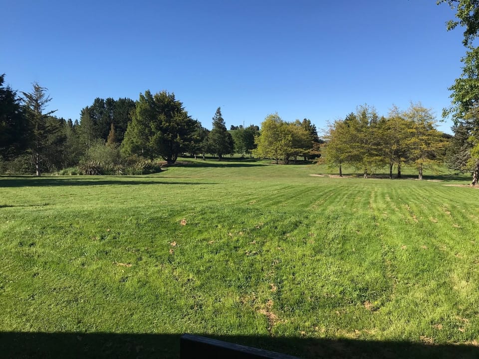 Extensive back yard