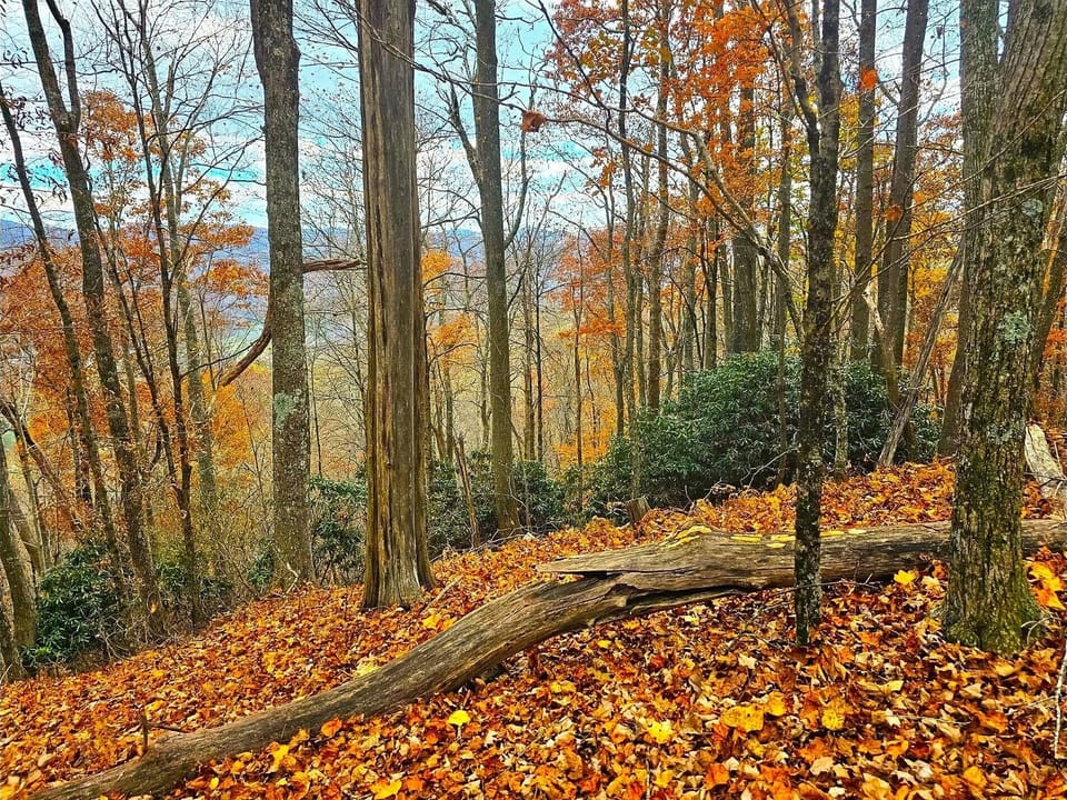 Hike to the summit 450 ft above houses; See Valle Crucis, Grandfather, Echota!